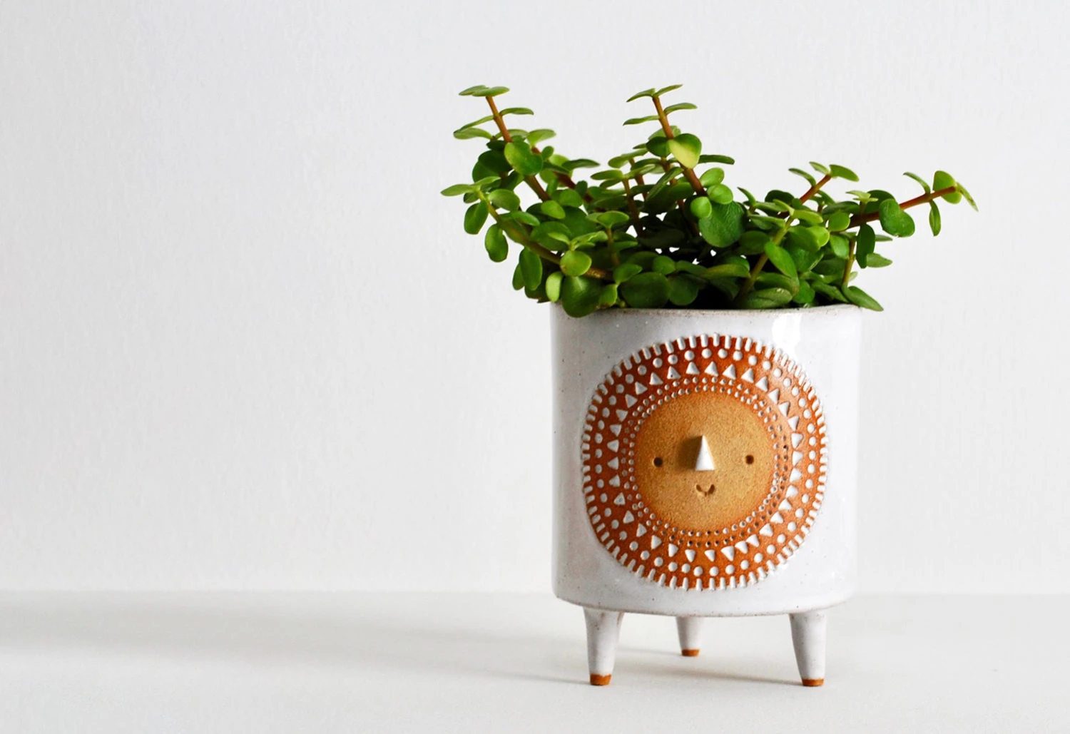Sun Tripod Planter
