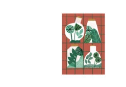 Terrariums Card