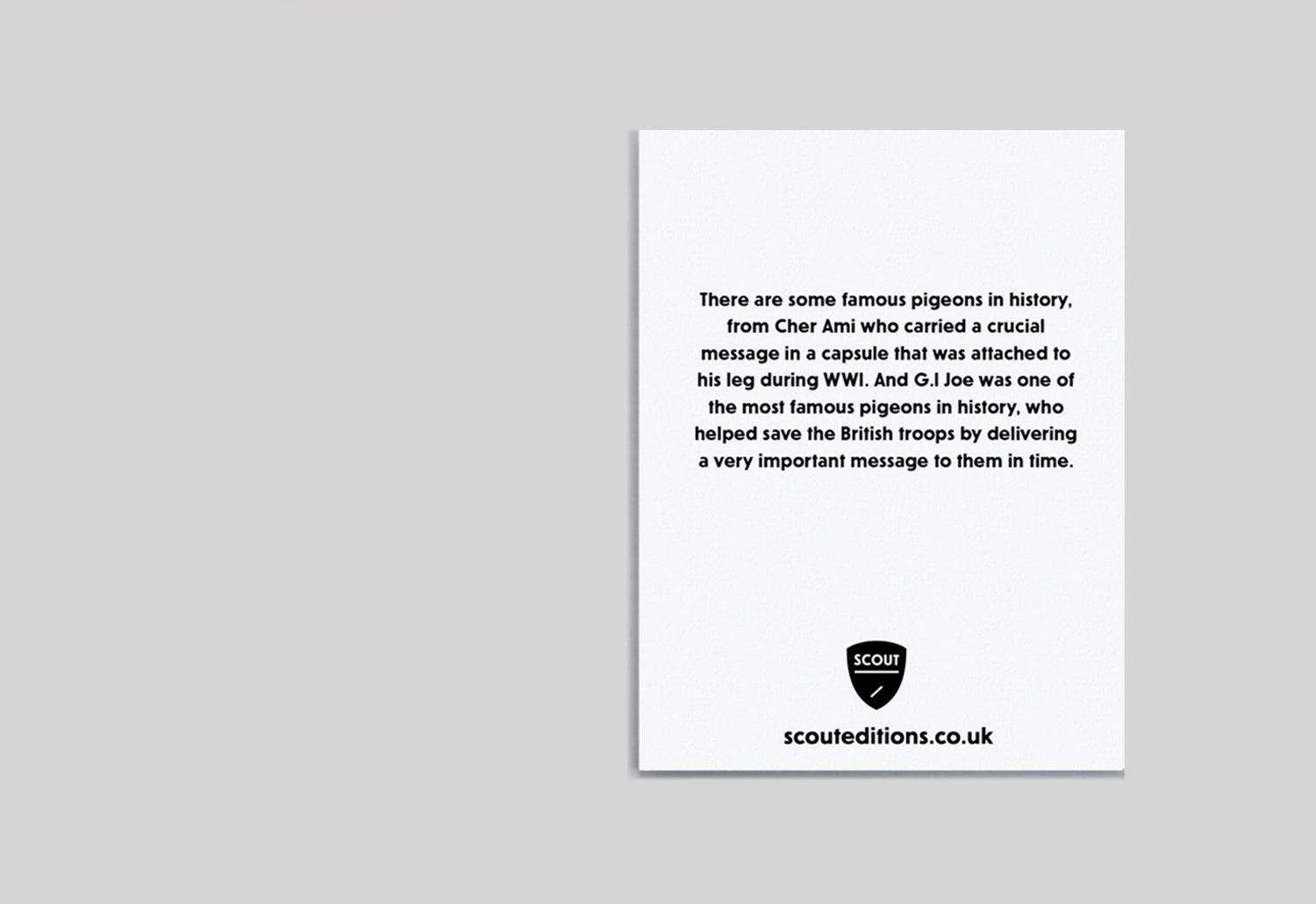 Pigeon Mini Card - Image 2