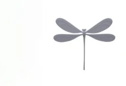 Vila Dragonfly Magnets, 2015